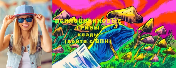 индика Армянск