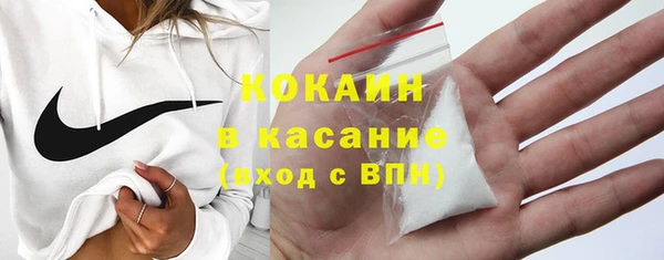 индика Армянск