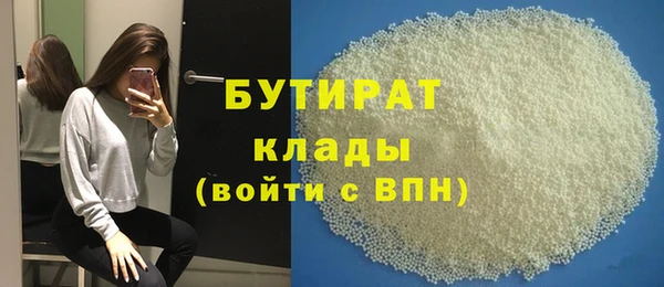индика Алексин