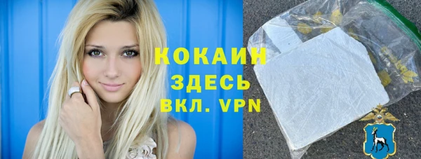 индика Армянск