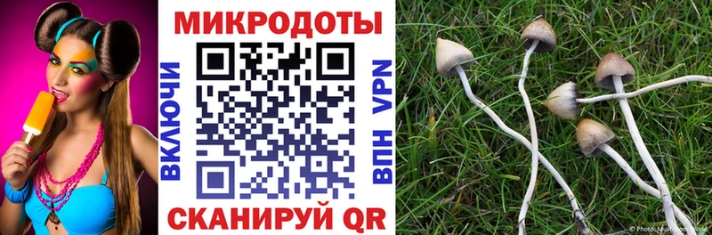 Псилоцибиновые грибы прущие грибы  Муравленко 