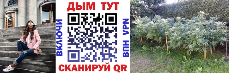 закладки  Муравленко  Шишки марихуана тримм 